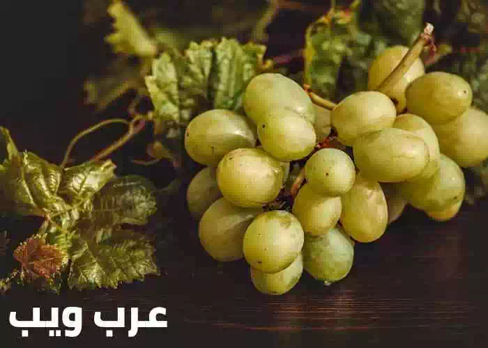 تعبیر خواب انگور سبز برای امام صادق به طور مفصل