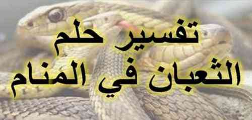 تعبیر خواب در مورد برخورد با مار