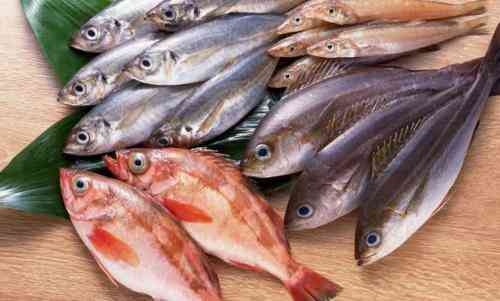 دیدن ماهی در خواب برای یک زن متاهل متفاوت است دیدن ماهی در خواب برای یک زن متاهل