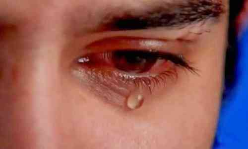 تعبیر خواب در مورد دعا و گریه در خواب برای امامان ارشد دعا و گریه در خواب