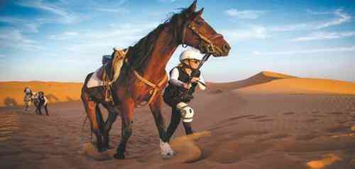 تعبیر خواب درباره اسب سواری