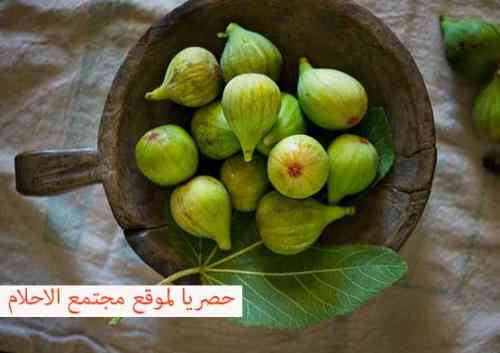تعبیر خواب درباره درخت انجیر دیدن چیدن انجیر در خواب تعبیر خواب درباره درخت انجیر دیدن چیدن انجیر در خواب