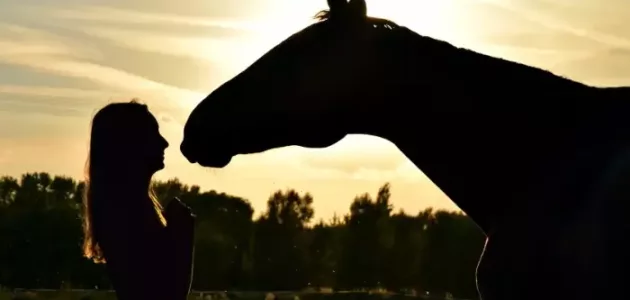 تعبیر خواب درباره سوار شدن بر اسب یا اسب برای امام صادق به طور مفصل تعبیر خواب درباره سوار شدن بر اسب یا اسب برای امام صادق به طور مفصل