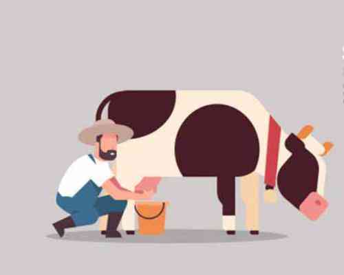 تعبیر خواب درباره شیردوشی حیوان در خواب توسط ابن سیرین تعبیر خواب درباره شیردوشی حیوان در خواب توسط ابن سیرین