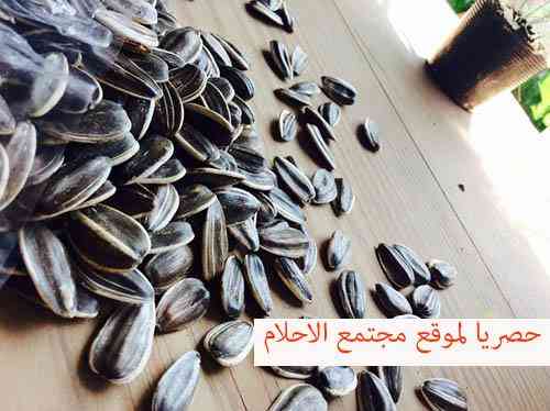 تعبیر خواب درباره عشق به گل آفتابگردان دیدن خوردن تخمه آفتابگردان در خواب