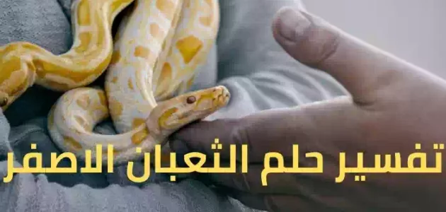 تعبیر خواب مار زرد برای ابن سیرین و امام صادق