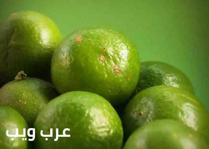 تعبیر خواب پرتقال توسط امام صادق با جزئیات 1 بالتفصيل تعبیر خواب درباره پرتقال توسط امام صادق