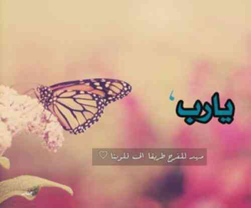 تعبیر دعا در خواب تعبیر دعا در خواب