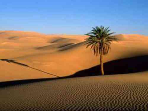 تعبیر دیدن کویر در خواب