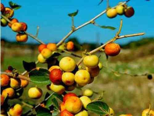 تعبیر صدر در خواب دیدن کاغذ صدر در خواب تعبیر صدر در خواب دیدن کاغذ صدر در خواب