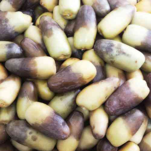 تعبیر مرطوب در خواب و دیدن غذای مرطوب در خواب