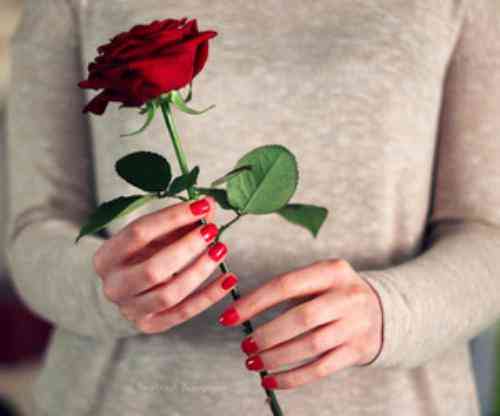 تعبیر گل رز در خواب دیدن گل رز در خواب