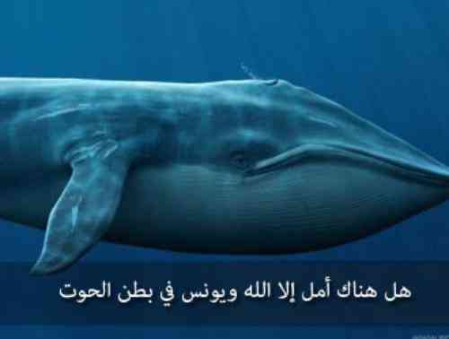 تعبیر یونس در خواب دید یونس در خواب تعبیر یونس در خواب دید یونس در خواب