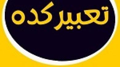 تعبیر خواب شیری که به دنبال من می دود و.jpg